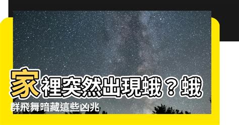 家裡出現很多蛾|【防治項目 